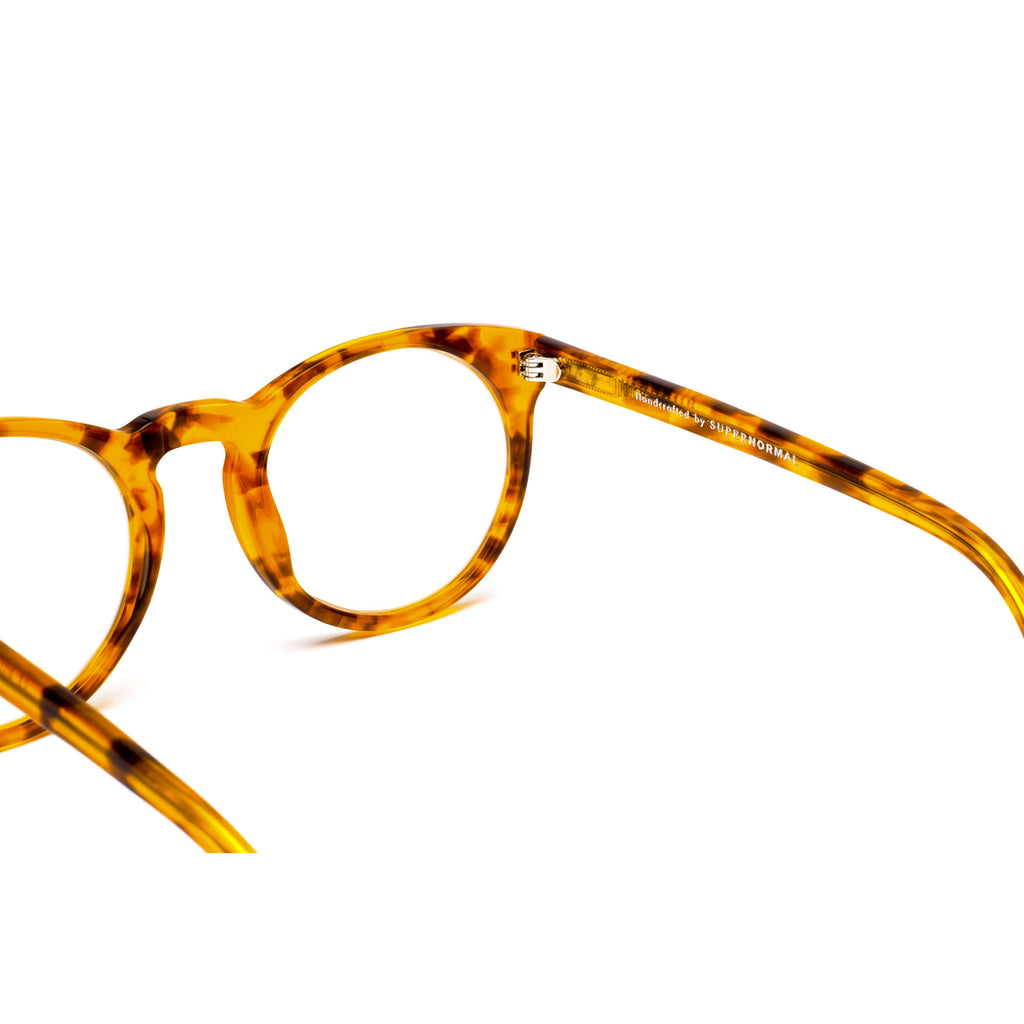 SHARP Tortoise Computer Glasses