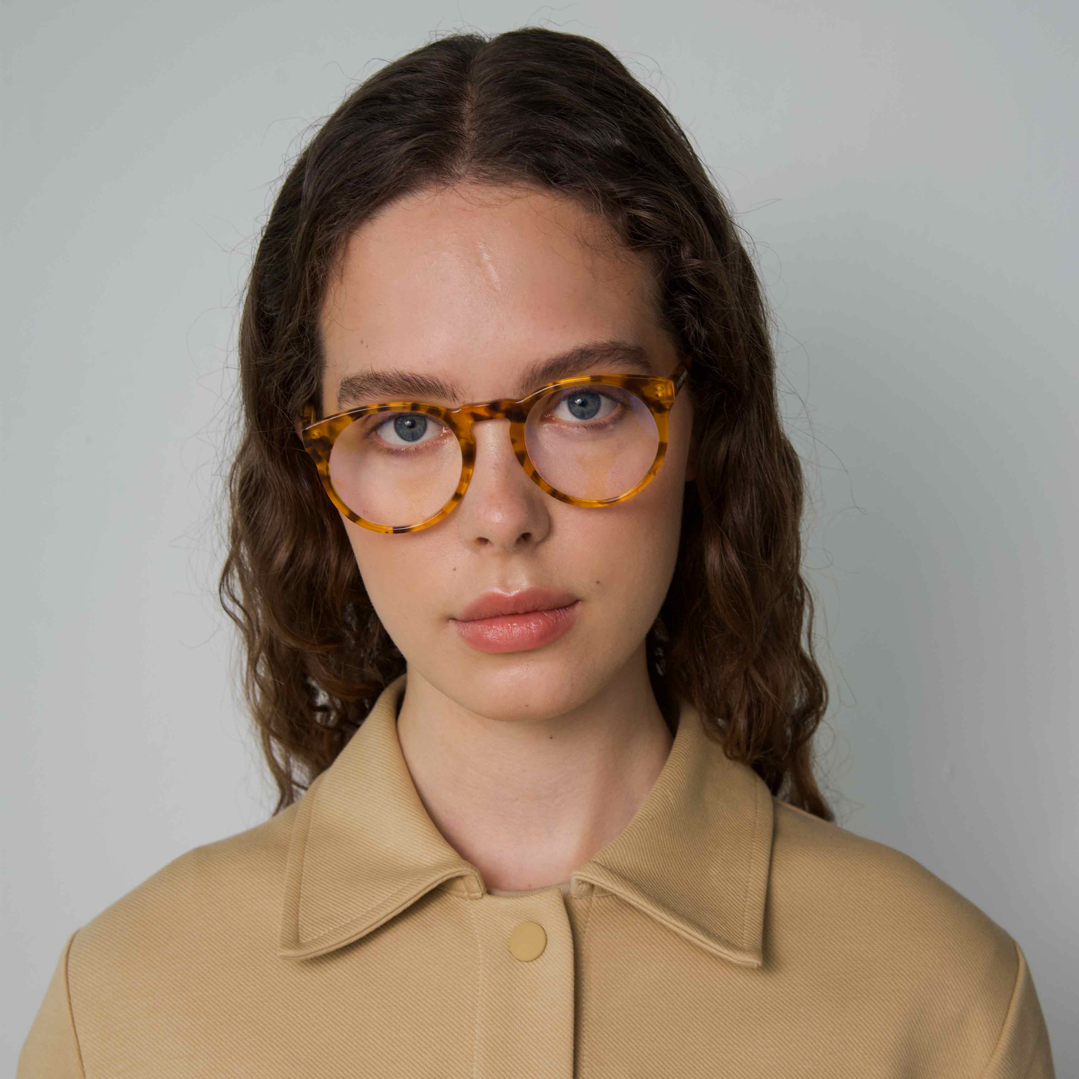 Sharp Turtle Spectacles SHARP Tortoise Computer Glasses – supernormal