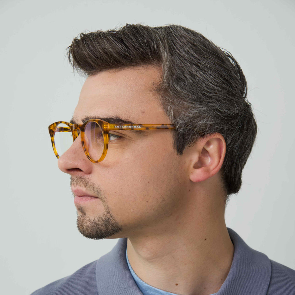 SHARP Tortoise Computer Glasses