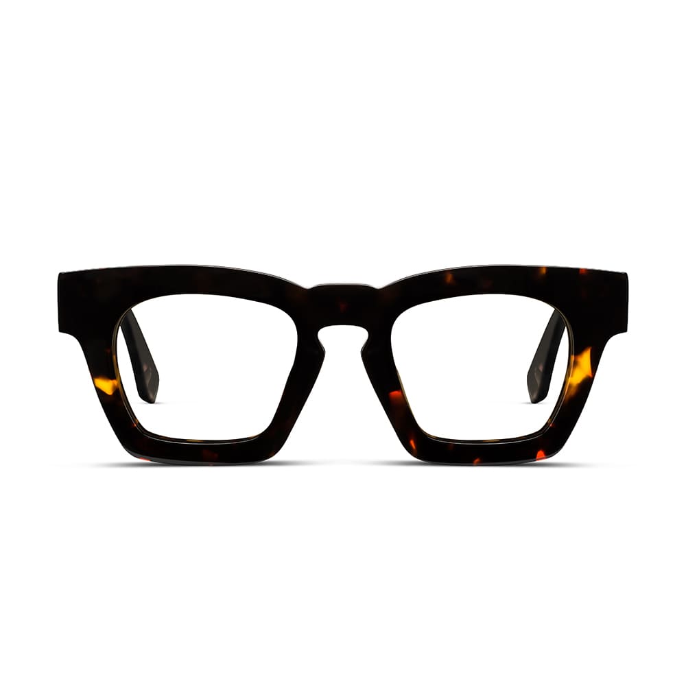MAIN CHARACTER Tortoise Computer Glasses